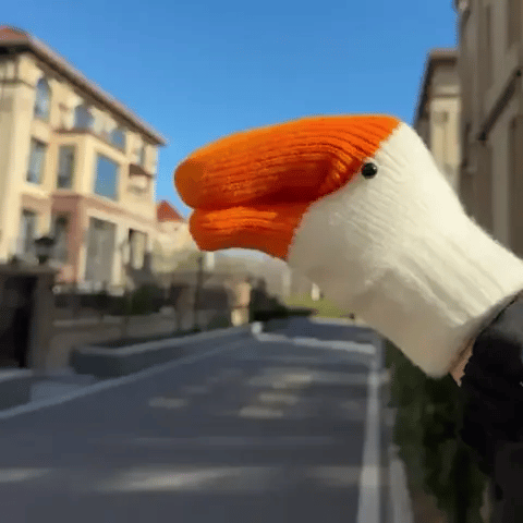 Luvas de Ganso Tolas